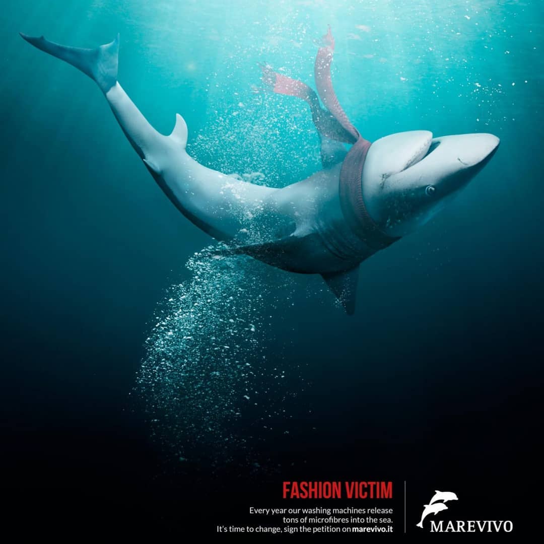 adaddictive's tweet photo. Plastic Pollution!

Go to https://t.co/Pt7G3aefPj for more ads

Follow us on @adaddictive
#adaddictive
#marketingonline
#media
#Onlineadvertising
#onlinemarketing
#printad
#printads
#printadvertising
#cleanocean
#cleanoceans
#oceanconservation
#oceanlife
#sealife
#underwaterlife https://t.co/Q3YRcvyv1T