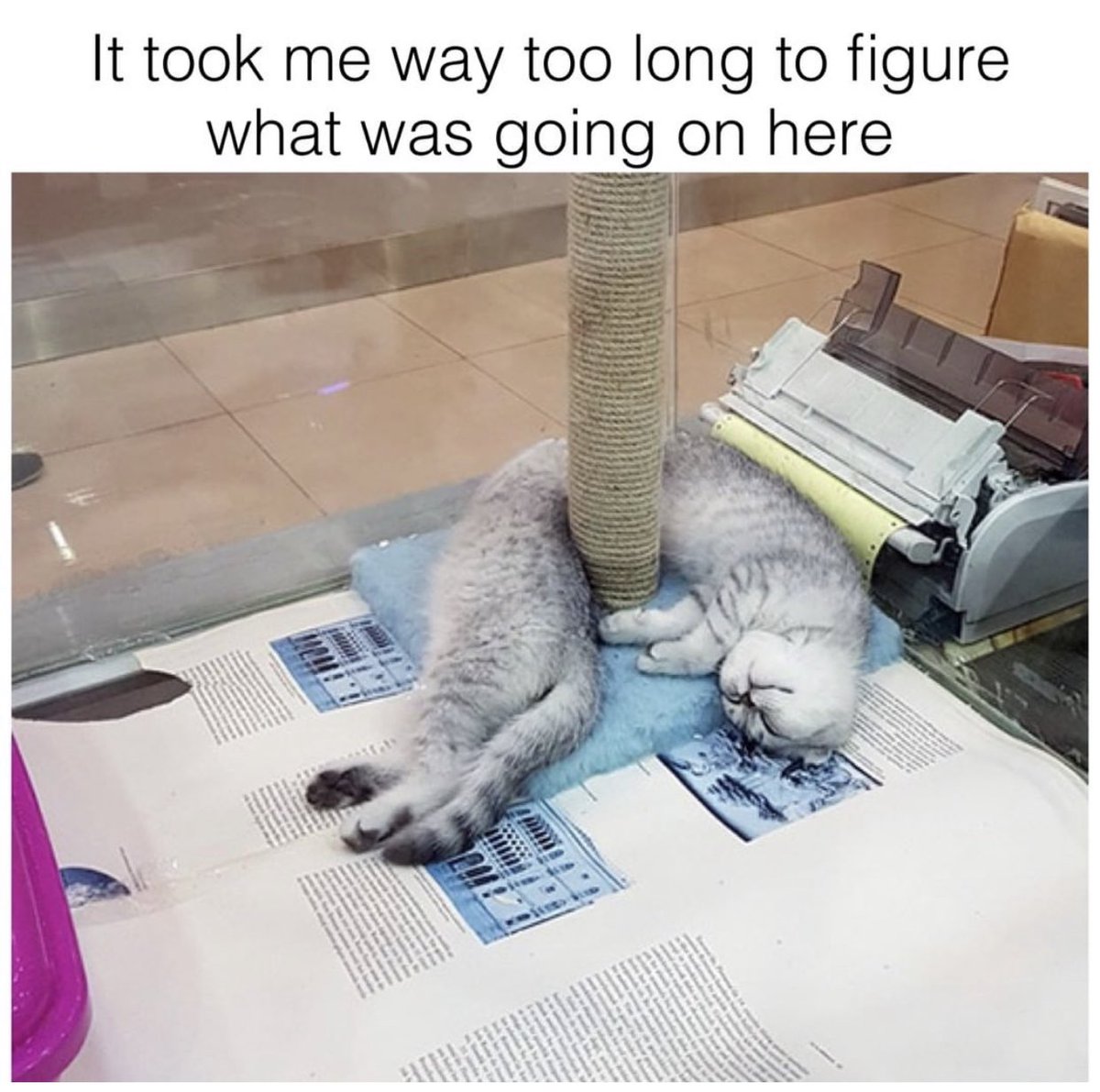 Watercatlor tweet media