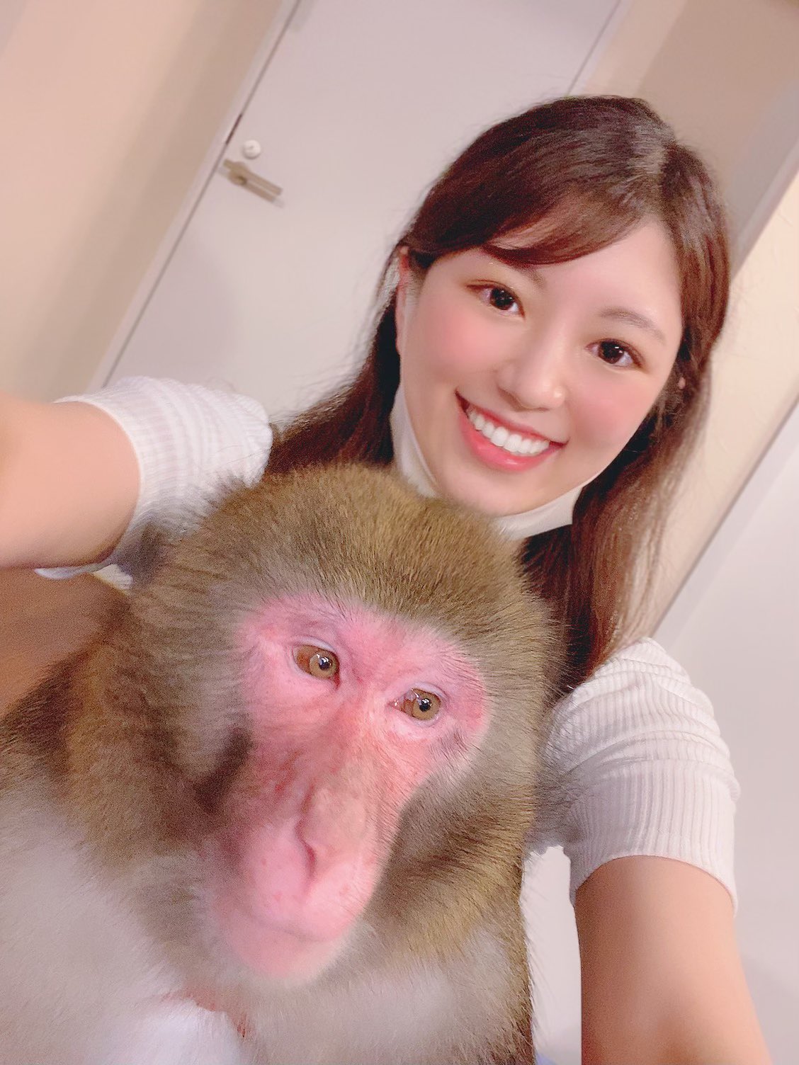 穂波はる ドッキリグランプリ の マッサージ師が猿になる のメイクさん役をさせていただきました 日光さる軍団 のともきりきのりきちゃんと2回目の共演でした っ いいこいいこ 秒で猿ドッキリ 秒で猿マッサージ ドッキリgp