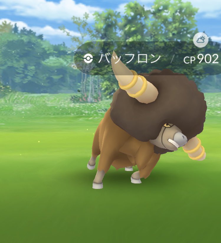 バッフロン ট ইট র অন সন ধ ন