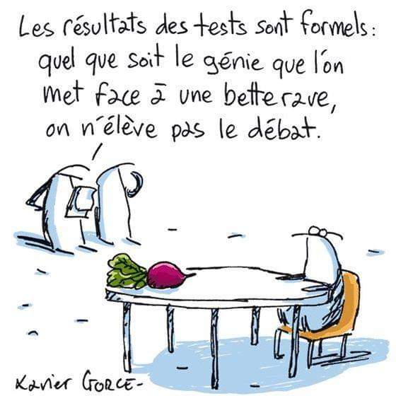 Domyharf1's tweet photo. Le baltringue en vacances ! 🤦🤢 https://t.co/BSXoBiQMUP