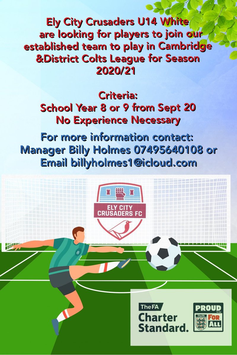 Ely City Crusaders tweet media