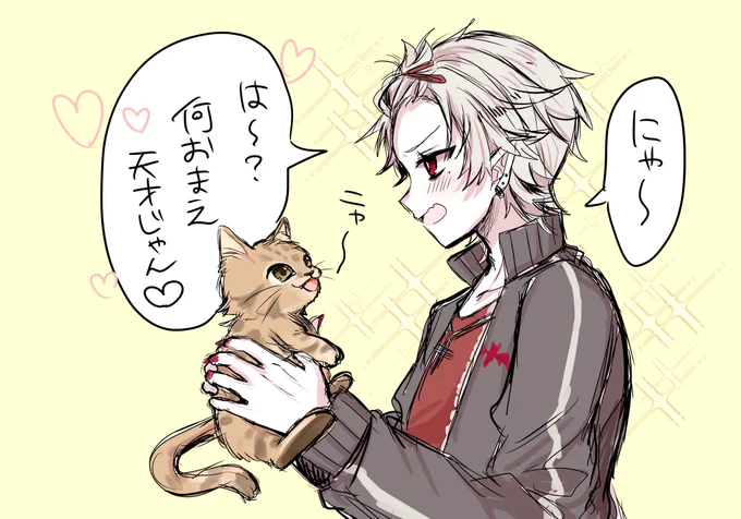 猫を飼って親バカになる 