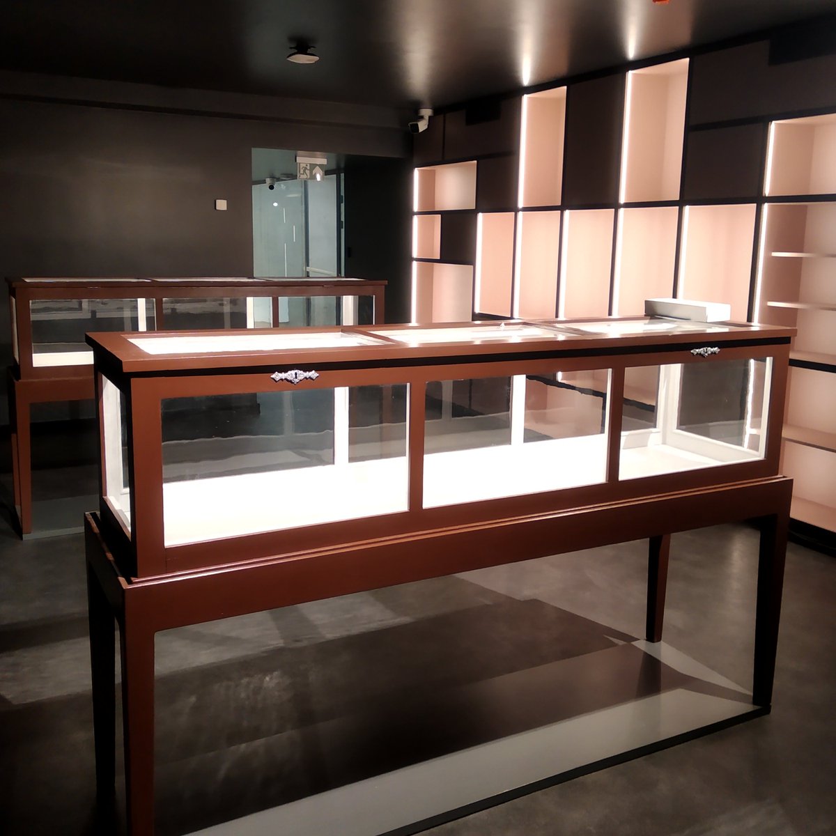 RigaAnatomy's tweet photo. Restored showcases from the beginning of the 20th century are installed in the new museum exposition & are ready to accommodate the historical #anatomical collection 😍 @RSUinfo #museumbuilding https://t.co/rAYSLVXMtt