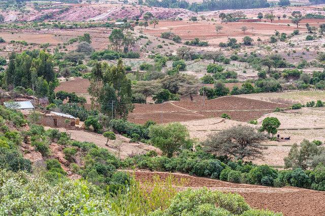 PSU found that it would cost roughly 1.5 billion dollars per year to reverse and fix this horrific environmental cycle Puntland is stuck in. Ethiopia has reversed land degradation through the use of free community labour for areas that lack manpower. Tigray region pictured below.