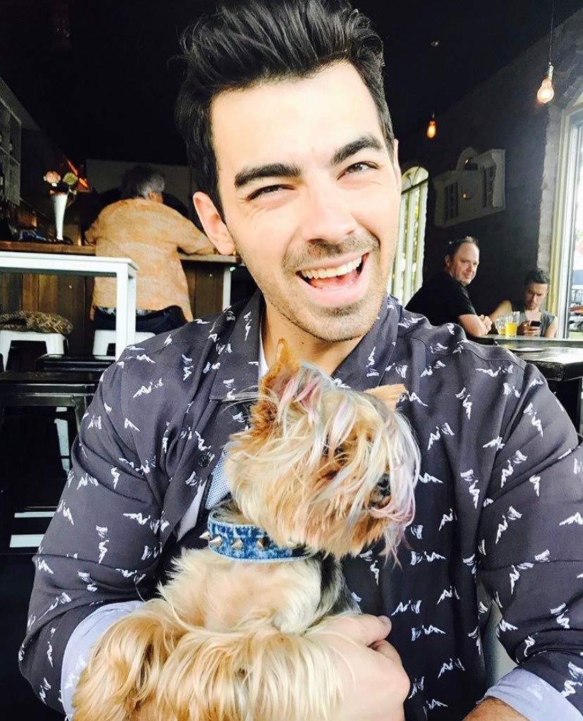 Het is vandaag Joe Jonas zijn verjaardag! Happy birthday !   