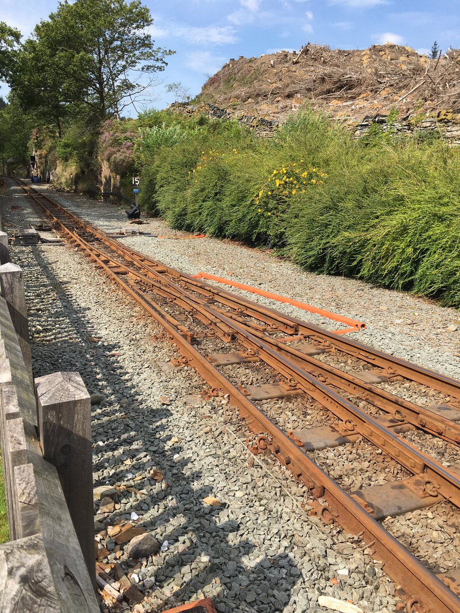 SimonZev's tweet photo. #Tanybwlch ☀️ 🚂 ⛰ 🏴󠁧󠁢󠁷󠁬󠁳󠁿 
#Ffestiniog #Festrail #Steam https://t.co/mfStayfybC
