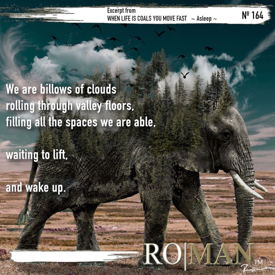 dajc_thoughts's tweet photo. .
WHEN LIFE IS COALS YOU MOVE FAST
⭐️⭐️⭐️⭐️⭐️
by: Roman Newell
Poet | Author
@RomanNewell 

Signed &amp; Personalized Paperbacks
https://t.co/dc5MoaA6Um

Ebook :
https://t.co/8FOL4ObUeS 

#movequickly #bookrecs #poetry #mustread #whenlifeiscoalsyoumovefast #writingcommunity #review https://t.co/AYVwSWaV4N