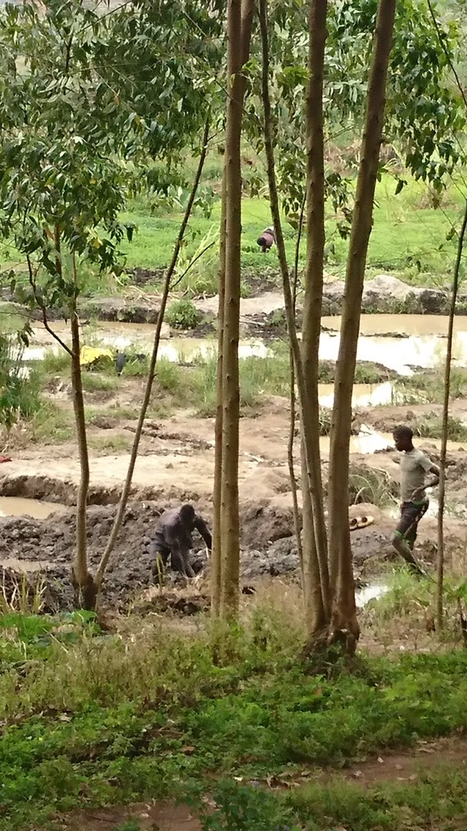 GgcyiU's tweet photo. Children mining sand for sale in Wakiso.effects of Covid19 has really https://t.co/uGGacReIDB going age children are engaged in economic activities making children vulnerable to all sorts of child abuse @savechildrenug @UNICEFUganda @GPforEducation @EduCannotWait https://t.co/uNQ5RatsG3