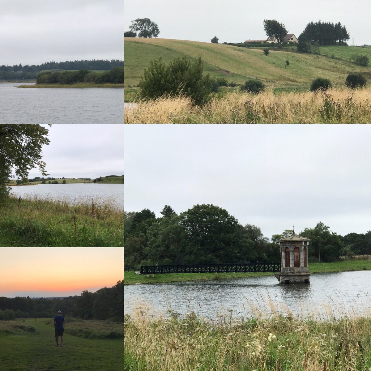 Marnie McCormack tweet media