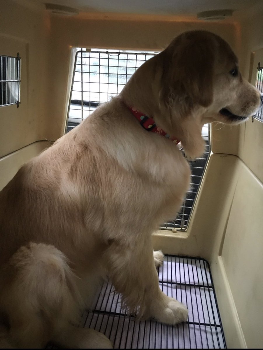 まりは狭い所が好きで Twitter Search