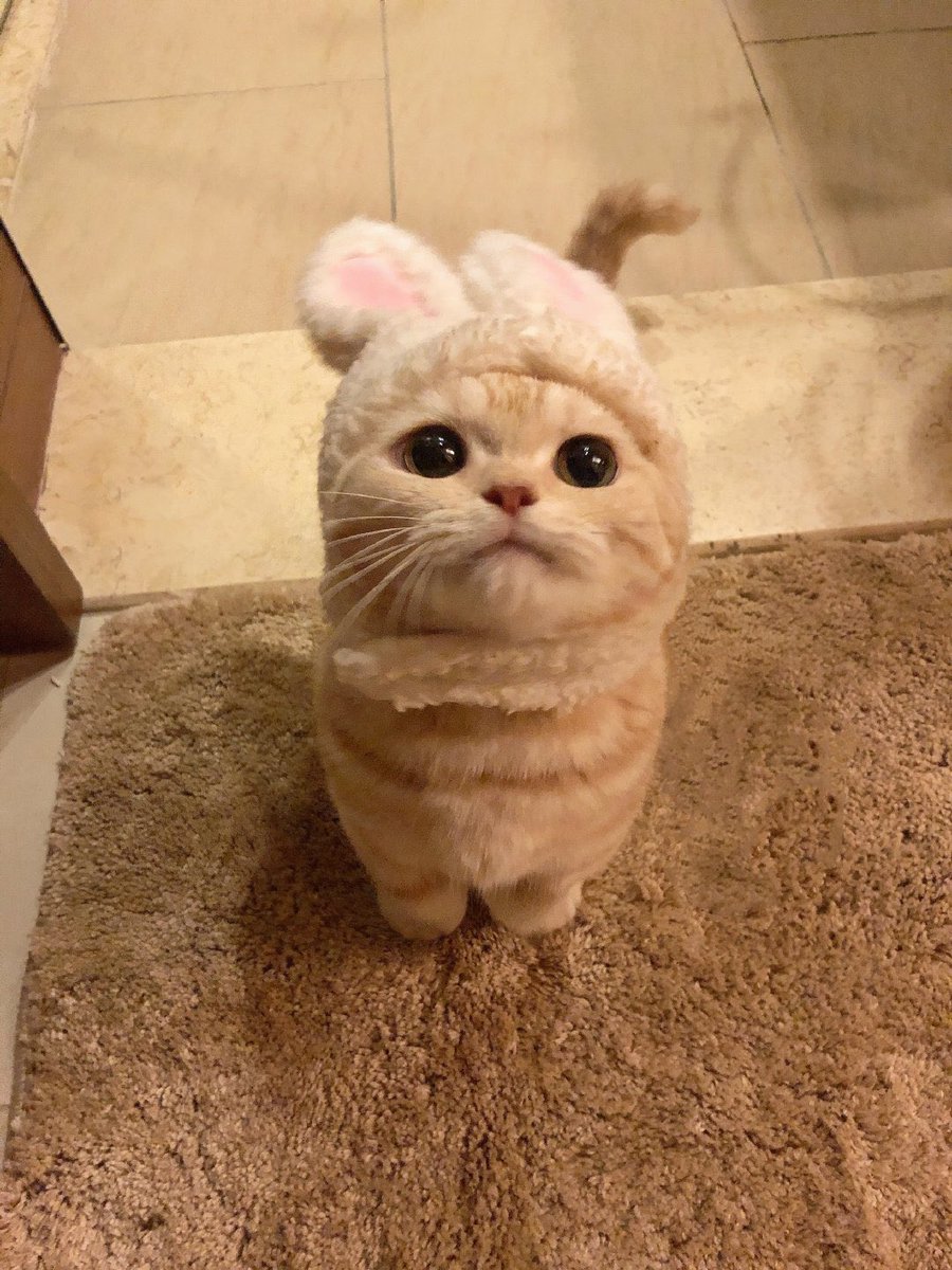 มาฟังเหรินดีกันคับ(*ˊૢᵕˋૢ*) #TodayisRenD youtu.be/cseb1WG15ZA