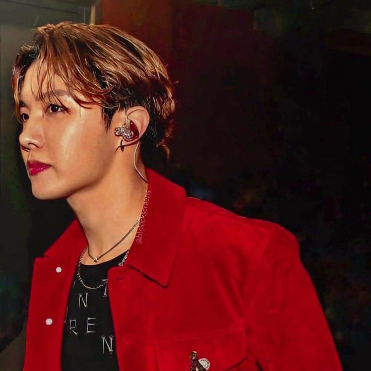 Grammy hoseok SHKSJSK