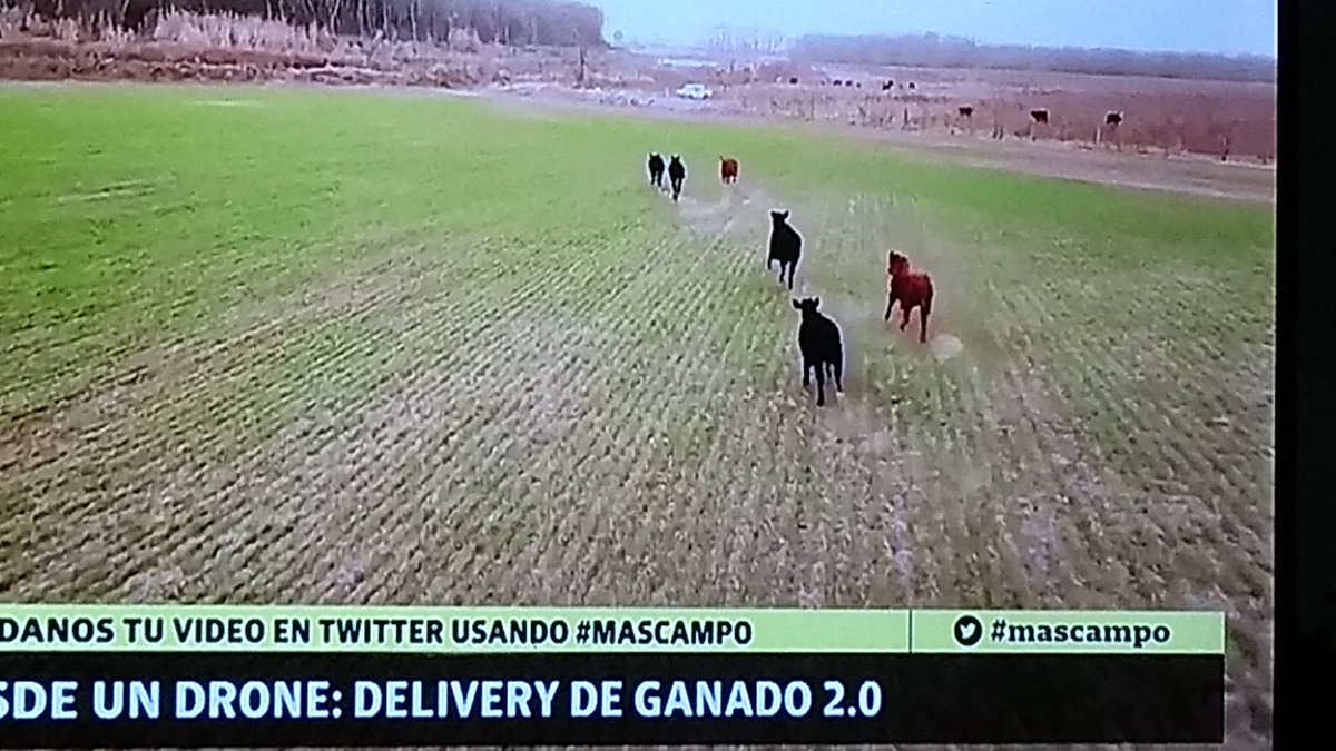 don_hilo's tweet photo. @johnnpol 👏👏👏 https://t.co/cSSJjMy3JX