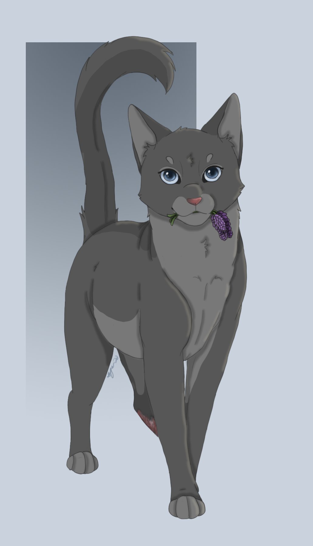 Коты Воители Пепелица