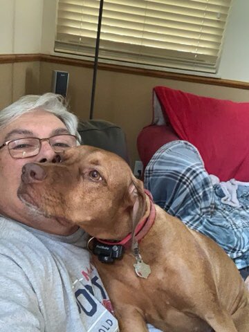 Cabella wanted some face time! #thelandscapelightingguide #doglife #lakelbj #vizsla