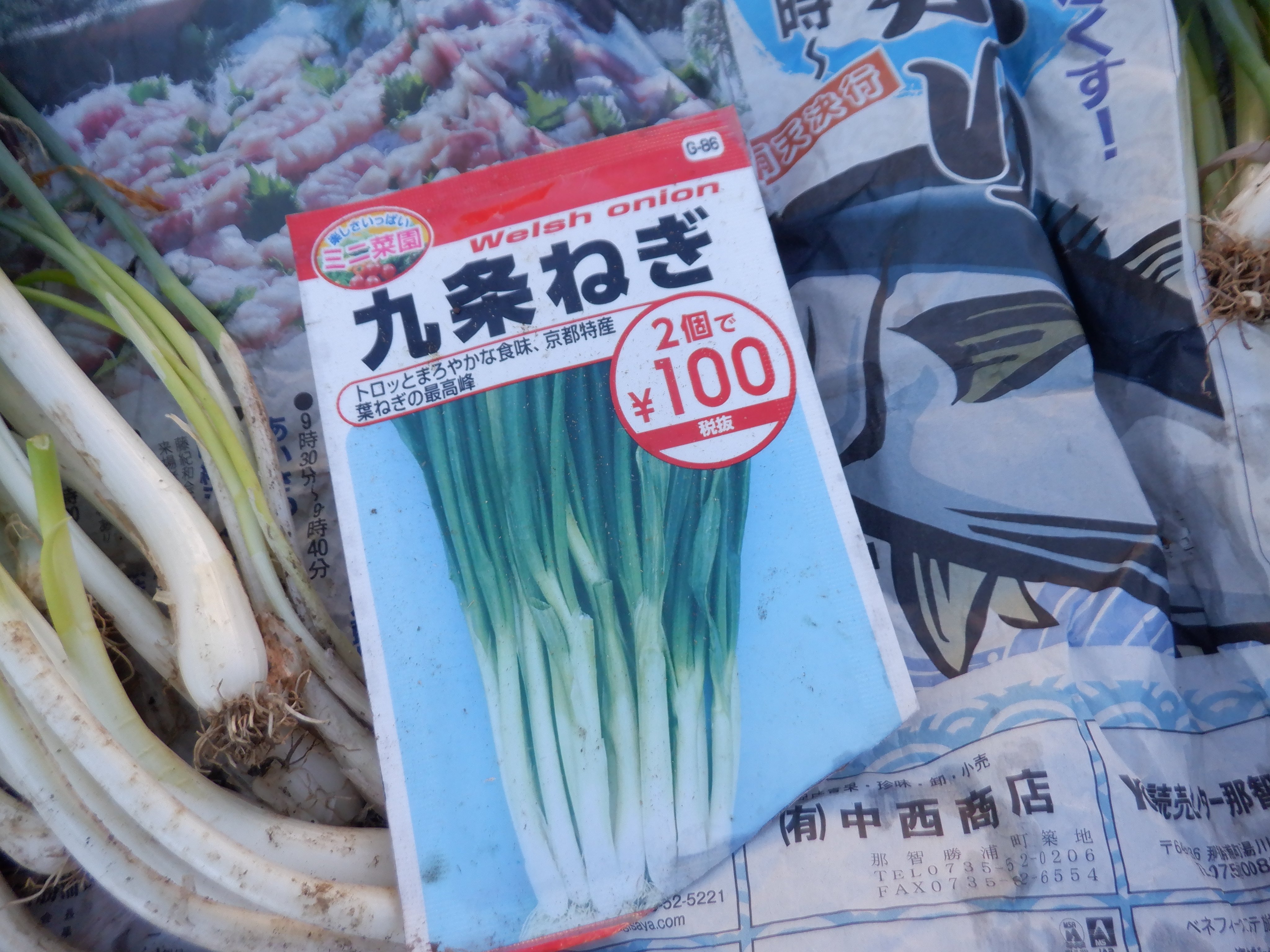 うさ ダイソーの九条ねぎが2種類あるんだけど １つは南アフリカ産で もう１つはイタリア産 イタリア産は品種名が 九条太葱 との表示ありだが 種袋の画像を見ると どちらも九条太葱だと思われる T Co Qgsfjmsx1f Twitter