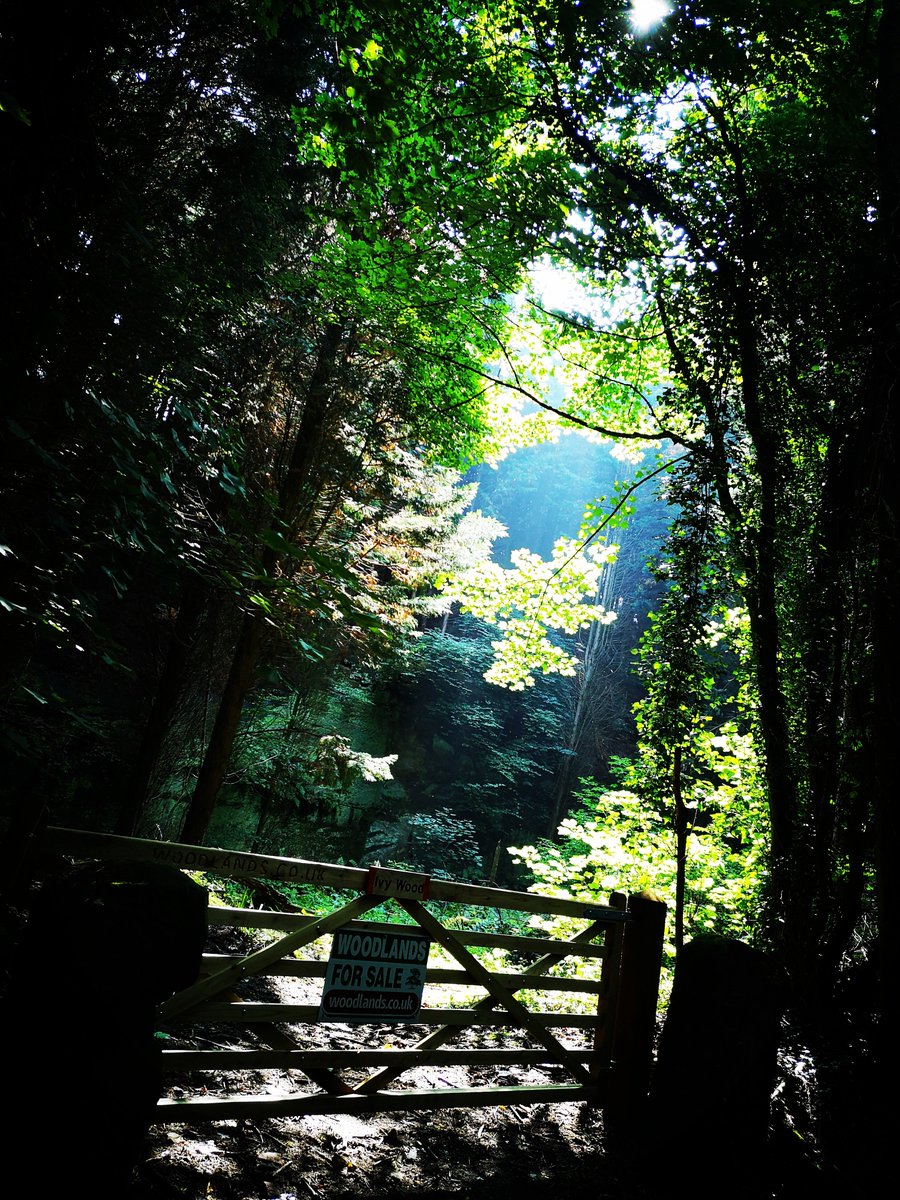 Andy Tabberer tweet media