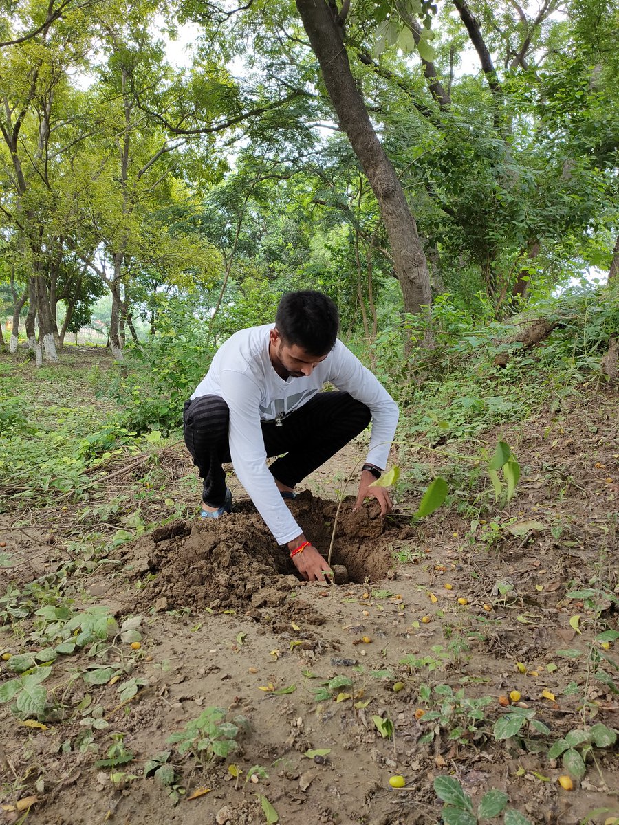 iamyudhvir's tweet photo. आज़ादी की सांसो को बेहतर बनाने का प्रयास।
#TreePlantation #MSGBday #IndependenceDay  #HappyIndependenceDay #happyindependenceday2020 #PhotoWithTree #GuruTeachings https://t.co/X7UEllIDPp