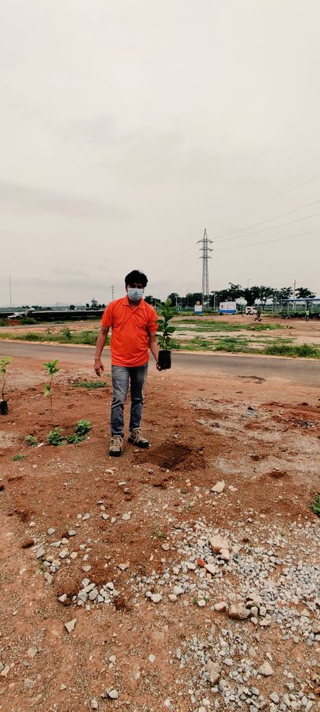 saradasolar's tweet image. #plantation #PlantSampling 
On the occasion of #IndependenceDay2020 #Pavagada