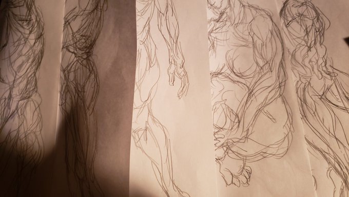 筋トレ十三日目 