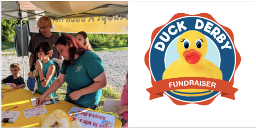 Petal_EB5's tweet photo. Stop by Corner Market TODAY until 5 pm and adopt ducks for the Great American Duck Derby! Proceeds will fund an infant/toddler playground and you could win up to $2,000 in cash! #duckderby #petalexcelby5 https://t.co/ZO4glEhlNl