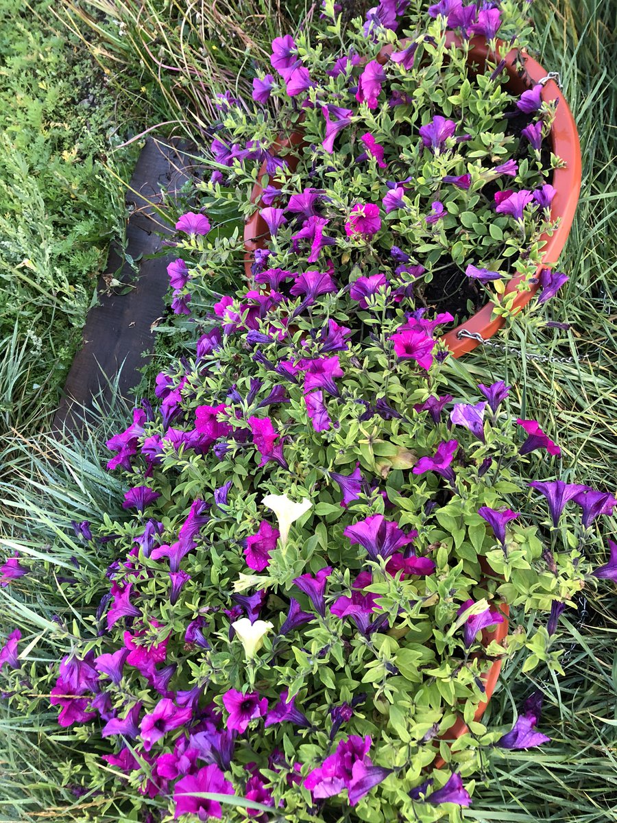 buzmaa (@buzmaa) on Twitter photo 