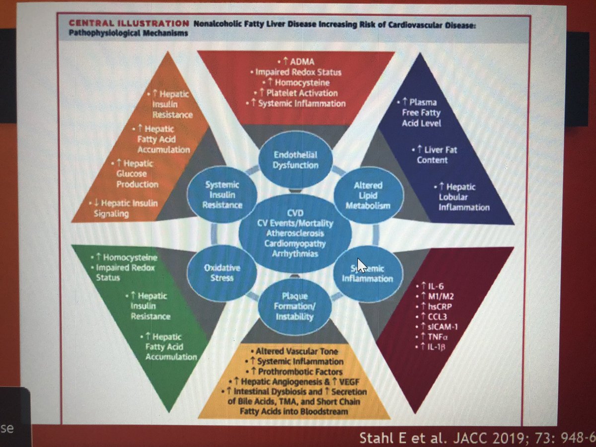 gina_lundberg's tweet photo. #EWHC20 Conf with Dr Isiadinso on #NAFL #FattyLiver in #Women and why it is so complicated and has multi contributors 
@emorywomenheart @ABCardio1 @emoryheart @EmoryGynOb @EmoryRollins https://t.co/j1pq0KwdmG