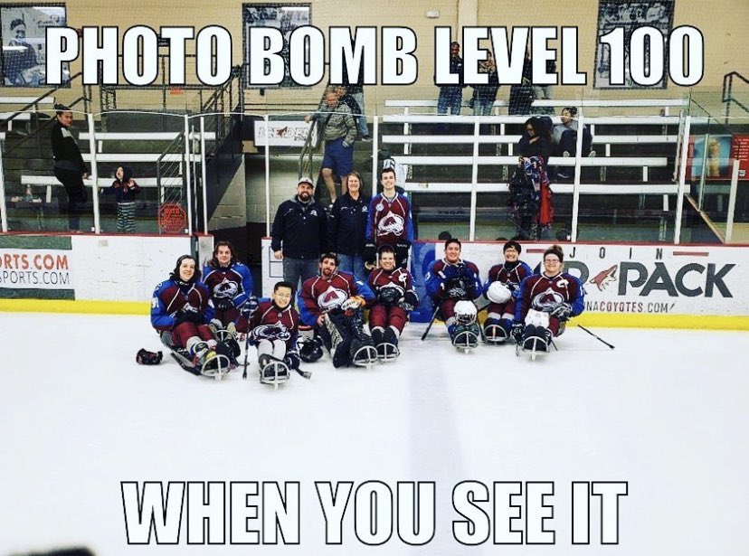 Colorado Avs Sled tweet media