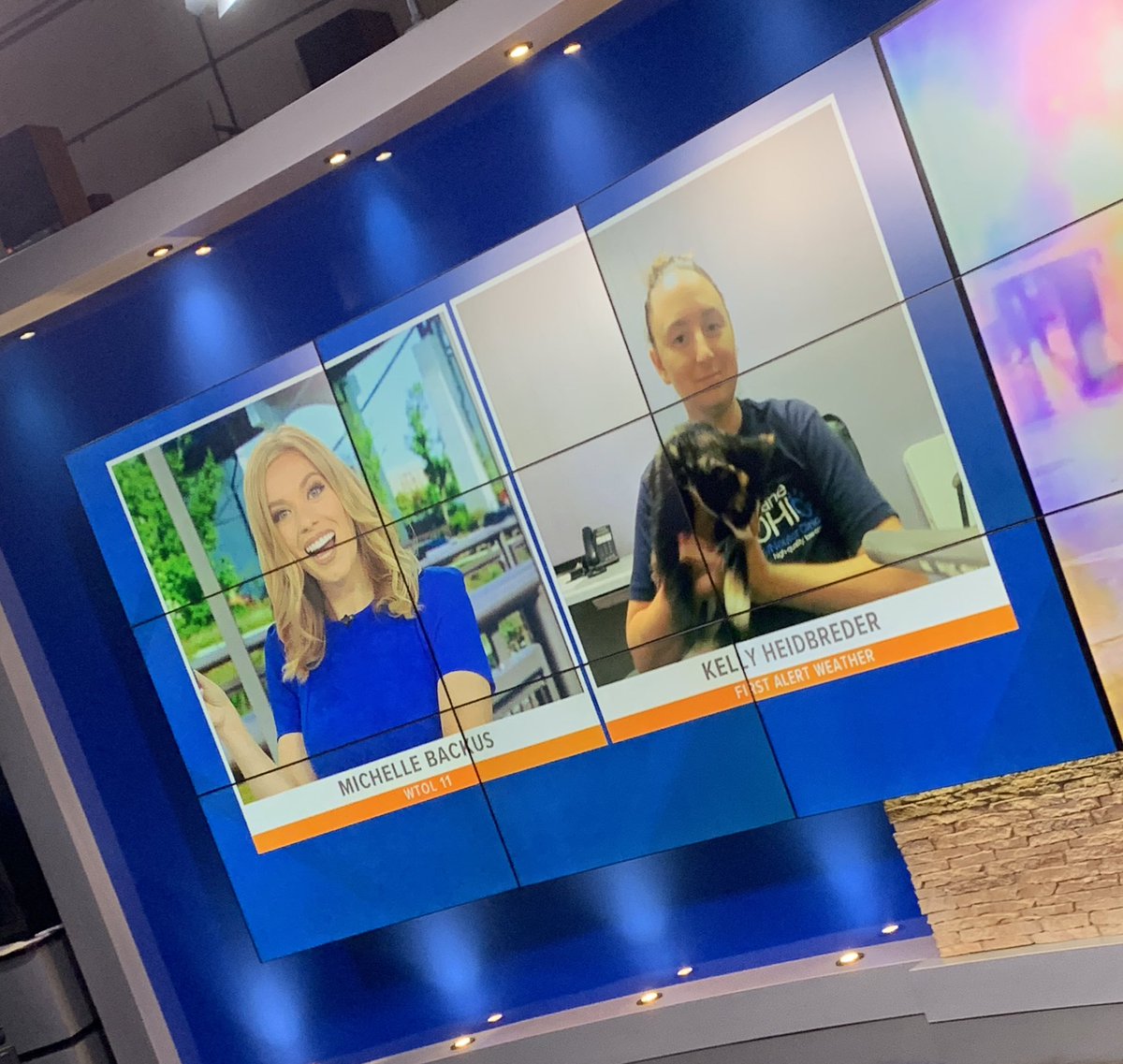 HAPPY CATURDAY!! Tune into <a href="/WTOL11Toledo/">WTOL 11</a> this morning to find out how you can adopt a furry little friend for a special price 😻<a href="/HumaneOhio/">Humane Ohio</a>