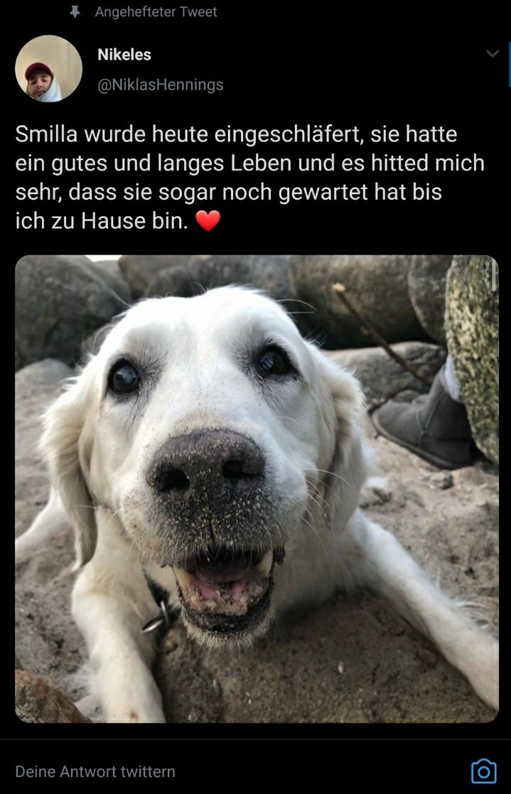 Weiß eigentlich nicht was ich dazu sagen soll...