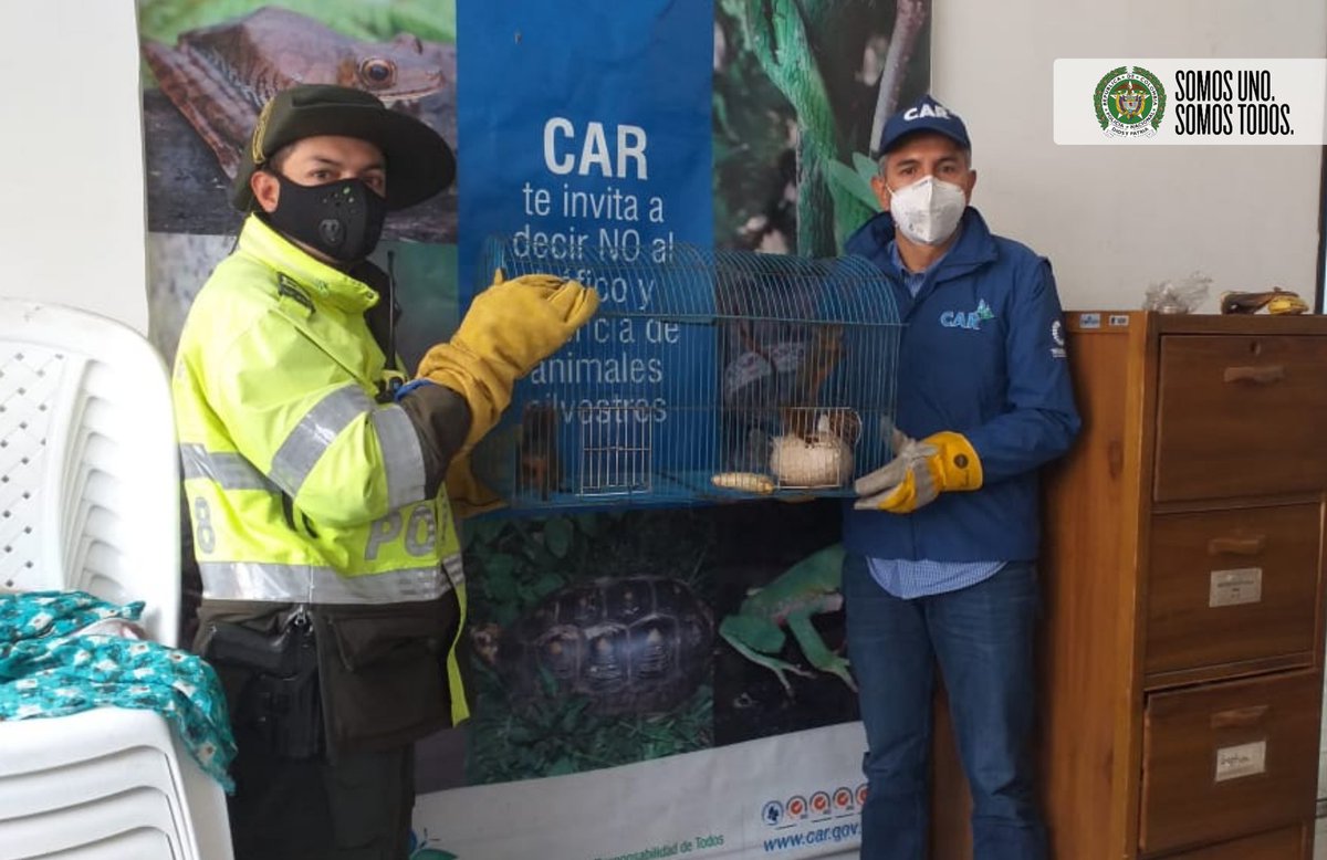 Giovanni Rojas (@Giovann14365344) | Twitter