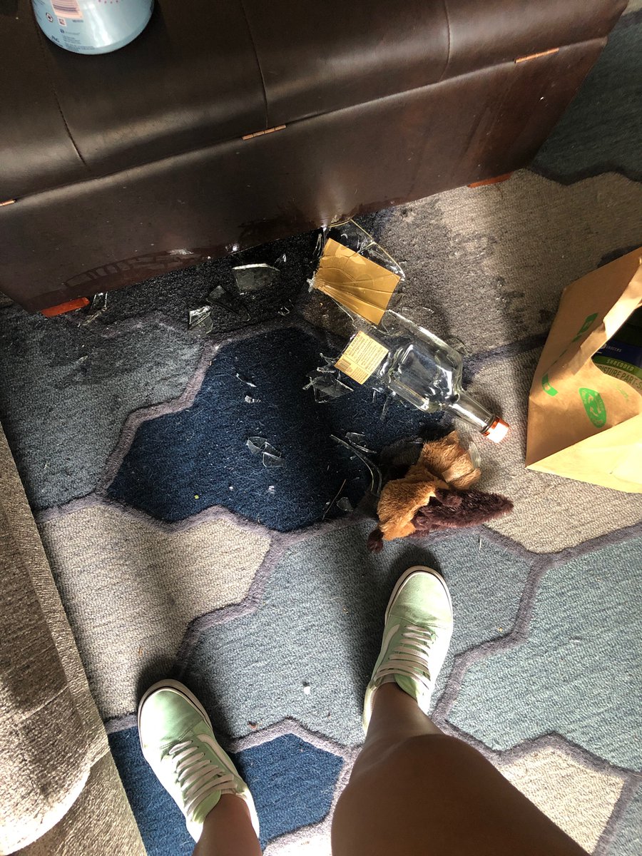 haleyjellis's tweet photo. Today I learned the hard way that sometimes it’s better to make two trips in with the groceries 😭 @TitosVodka https://t.co/lI3qOBfr5u