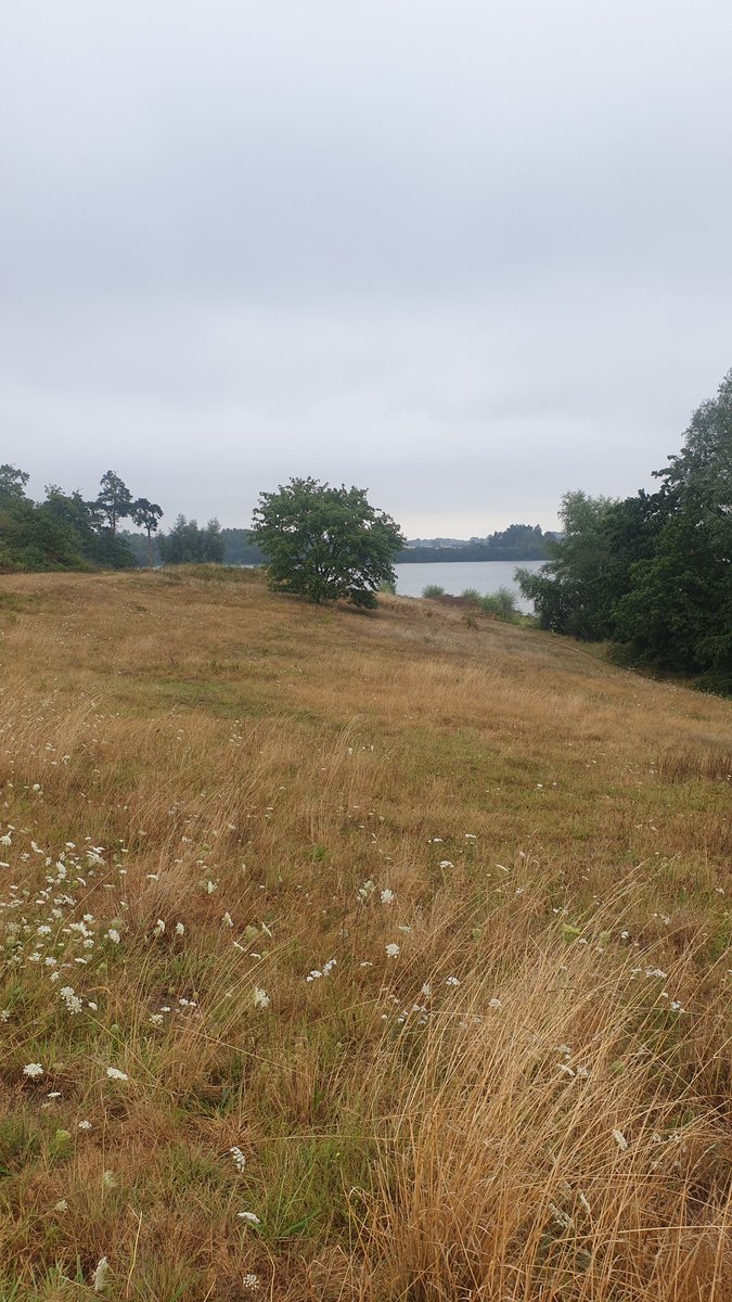 Another day another run @NurseActive