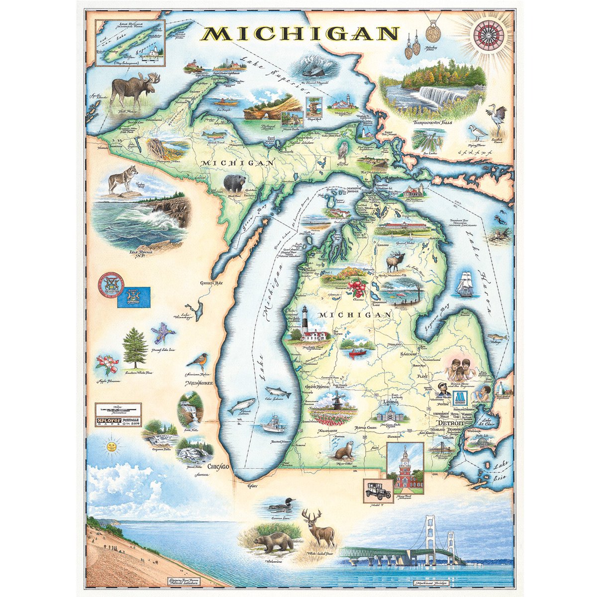 marblesays's tweet photo. @TeddyB_cat @RutterJulie @HalfordU @mnummy_maggot @DanceLikeNo0ne And Pablo back in Michigan, ginger #Michikitty like usπΊ
#TheAviators https://t.co/M5EOXCZ7G3