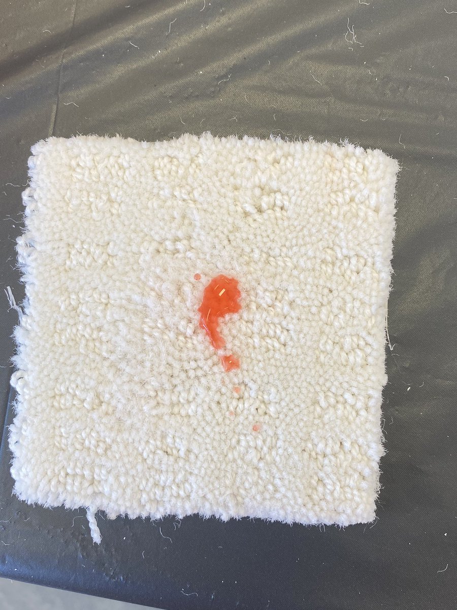 tutor_jed's tweet photo. Rocking our Saturday service event 😎 showing the value of our LifeProof carpet! Even red punch gets STAIN BLOCKED 💪🏼 some before and after photos 😎 #pacnorthproud #drivingD53 #unstoppable4422 https://t.co/7bTZ06yyu2