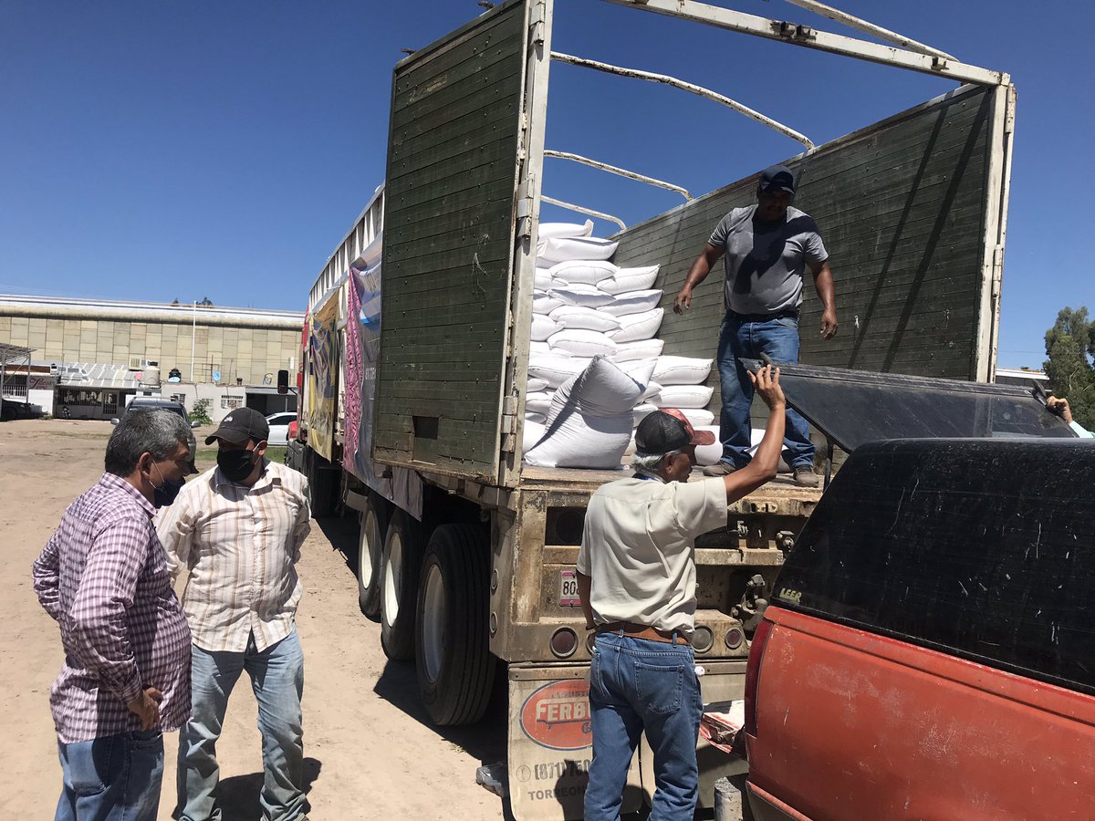 FMUD_Dgo's tweet image. Apoyando al productor del municipio de #Canatlan con 35 Toneladas de semilla de avena en coordinación de @sagdr_dgo y coordinador @Masteretep @ismaelayala7