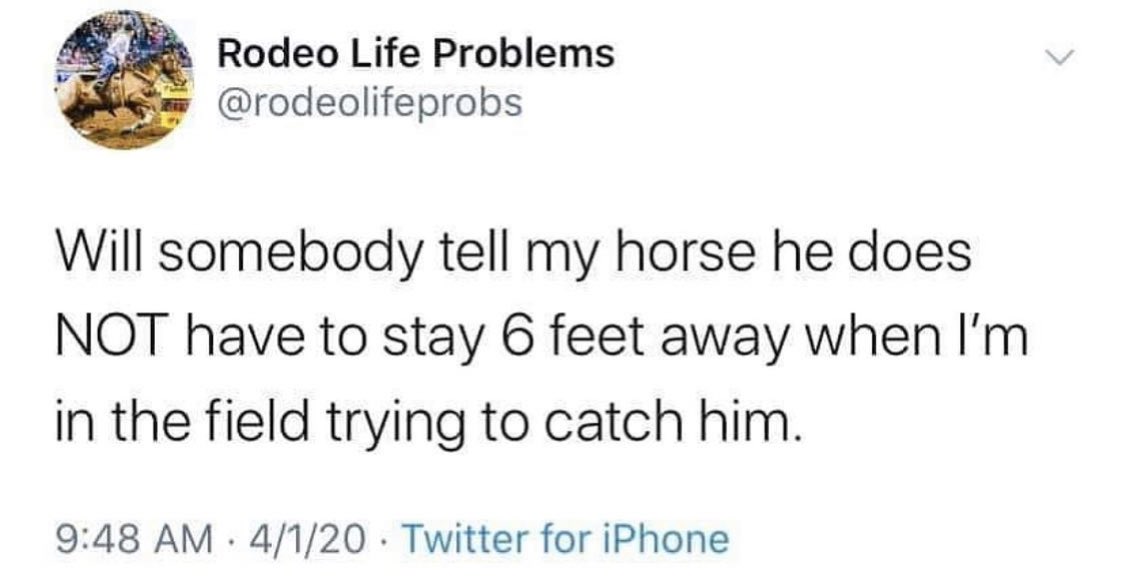 cshorsedotcom tweet picture