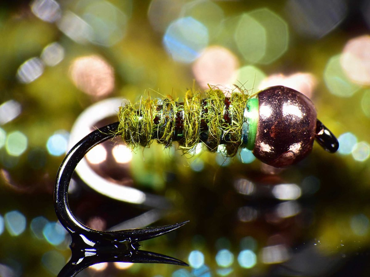 MidCurrent's tweet photo. Olive Walt's // tie and image by Scott Hetzer Terra Eclipse
#flytyingart #flytyingporn #midcurrent #wetflyfishing #flytying #fishingflies #fishpondusa #flyfishingcolorado #flyfishingflies #flytyingbench #flyfishing #rainbowtrout #cutthroattrout #forgettheforecast #troutcandy https://t.co/LU9UgvLq8t