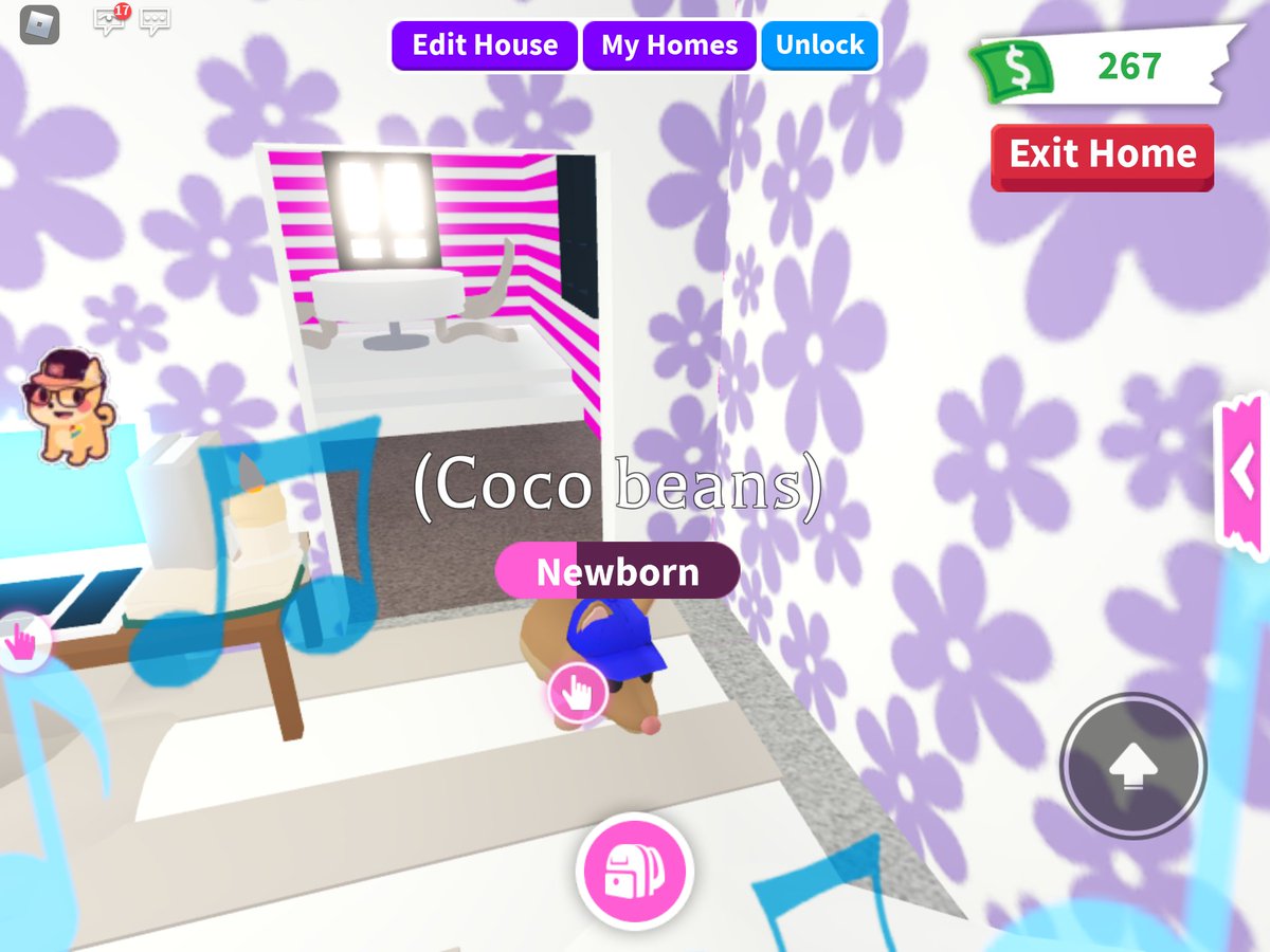 Emma65644707's tweet photo. @PlayAdoptMe #AMCelebratinglnStyle Here are some of my pets in style ! :Roblox username puppieXX400 :twitter username @Emma 65644707 hope I win fingers crossed ๐ค๐ป https://t.co/eO1qvvYb6v