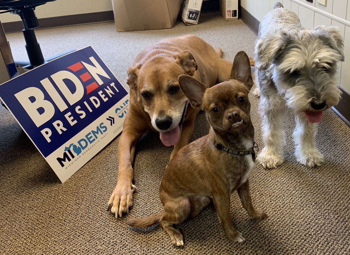 NickWisti's tweet photo. If Scout, Smokie, and Rocco could make calls #FlippinTheMitten to elect  @JoeBiden they would. You should get into this fight for them. #dogsfordems
➡️➡️➡️ https://t.co/NMsIxPcDIq https://t.co/JuaoahmwXA