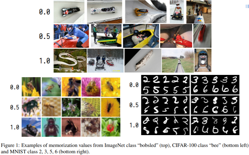 TheGradient's tweet photo. Are neural networks learning or memorizing? It must be learning, otherwise how they generalize so well. But hey, maybe memorization is not against generalization, and maybe necessary when there's little training data for some classes. https://t.co/AQ1rqGIP01 by @vitalyFM &amp; Zhang. https://t.co/LDtvpfcmoL