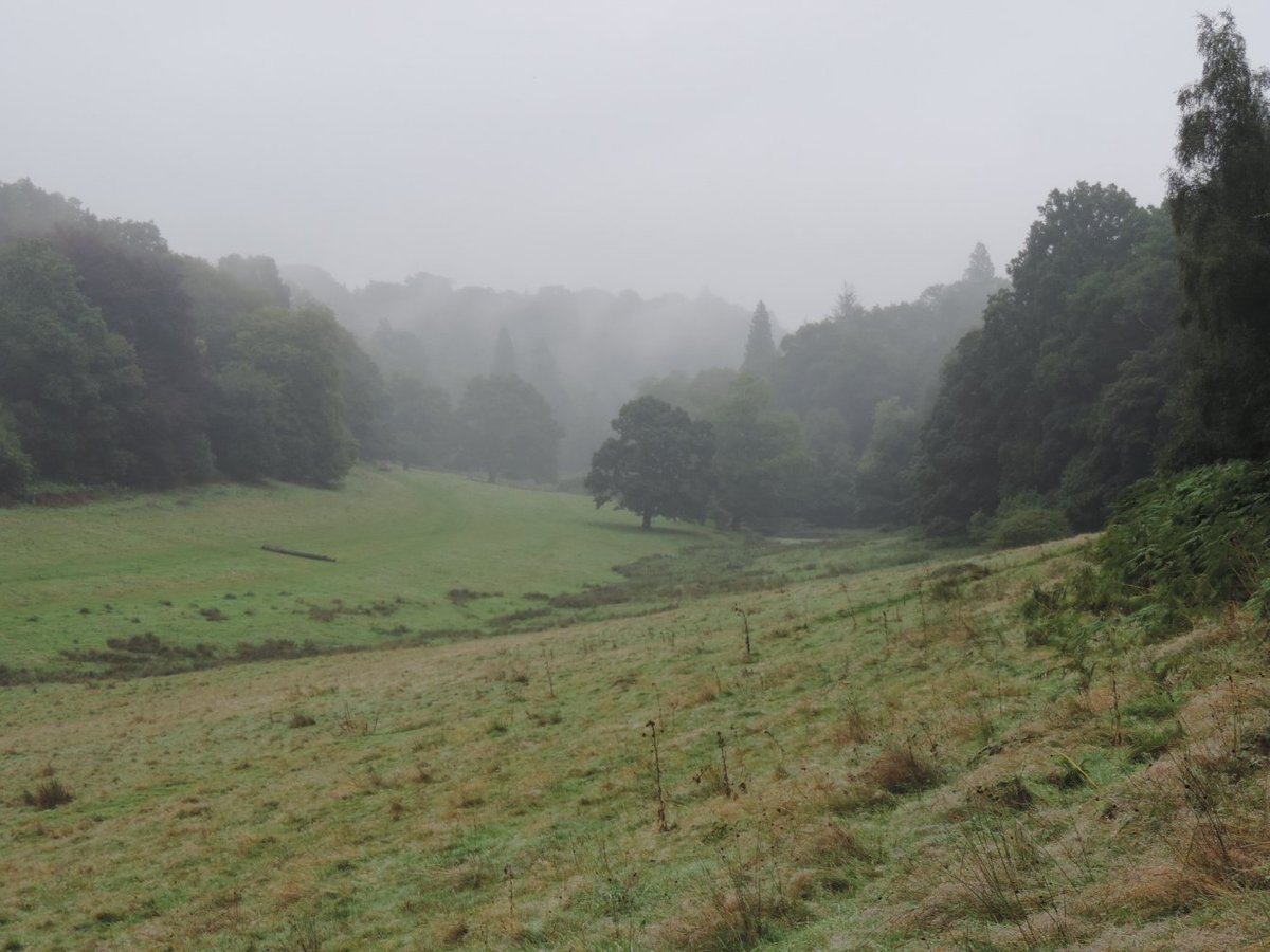 SJPSalisbury's tweet photo. And so it begins. https://t.co/hg5K2S7otl