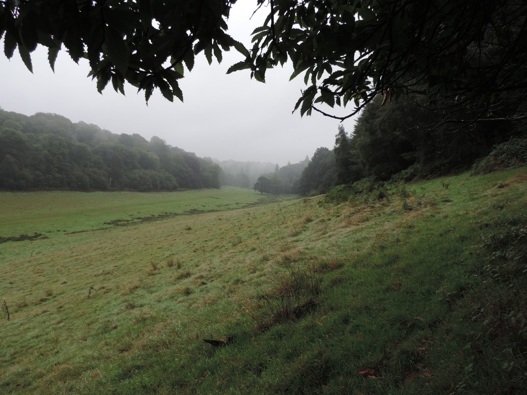 SJPSalisbury's tweet photo. And so it begins. https://t.co/hg5K2S7otl