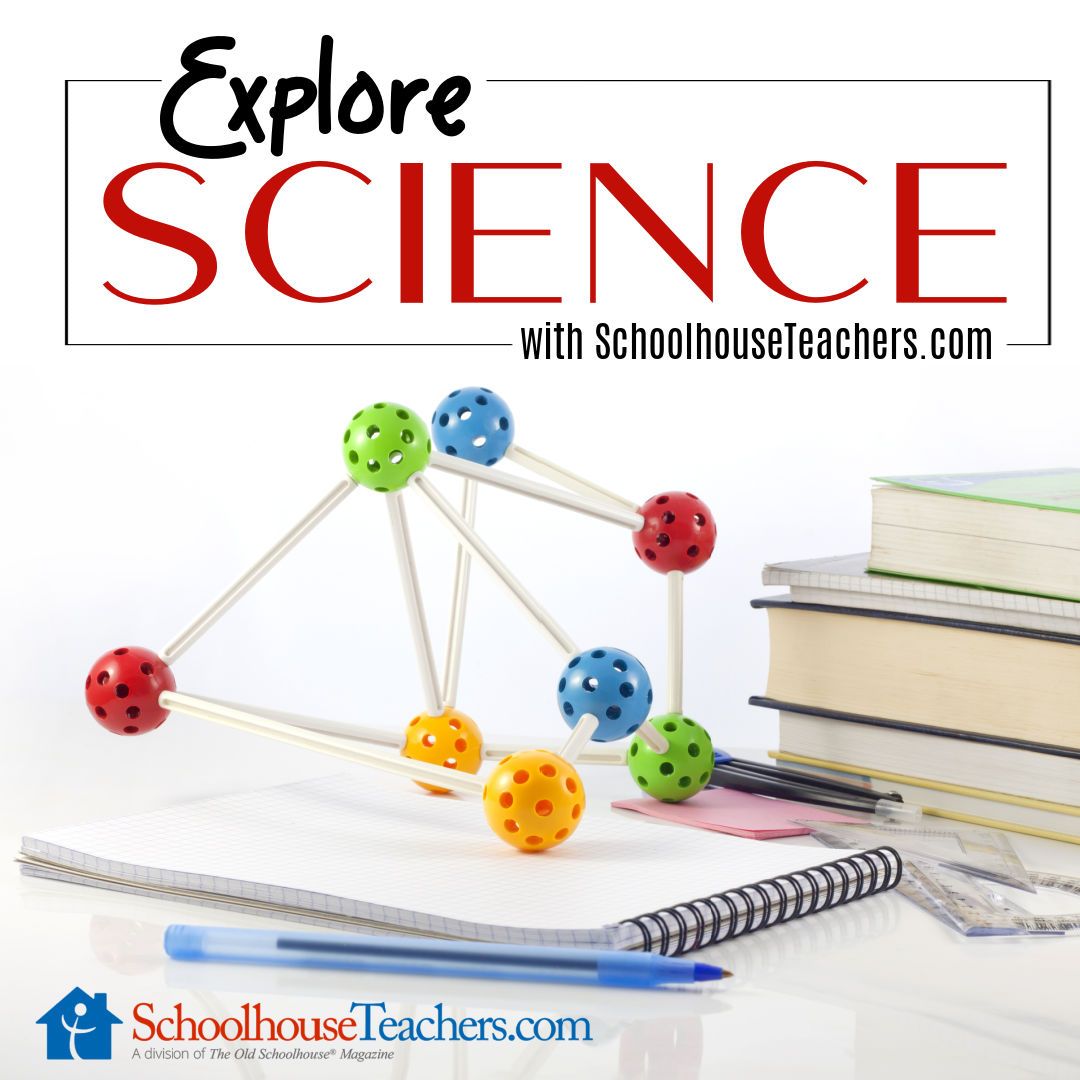 TOSMag's tweet photo. https://t.co/GdFnLUGPAy offers a wide range of science courses from video-based to interactive content to get outdoors in nature. Take a look at the different PreK-12 science courses included in a membership! https://t.co/Wz79RNHPGF #homeschoolscience #onlinescience https://t.co/OZK6jQ0olW