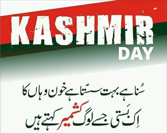 YaSminMeer2's tweet photo. #375 days of siege.. Kashmir bleeds and international community is silent. This is inhumane
#15AugustBlackDay https://t.co/tzQONsSOP6