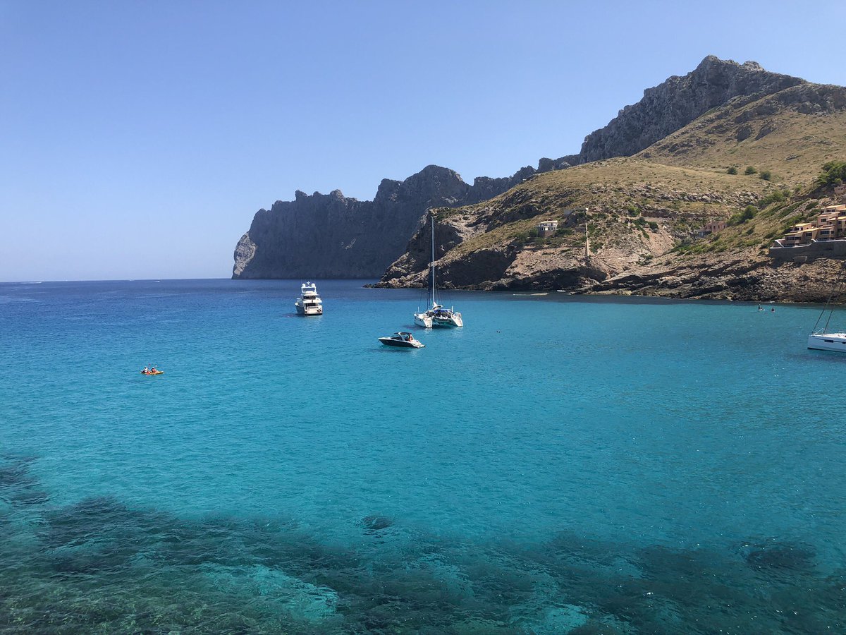 Christopher Dottie MBE tweet media