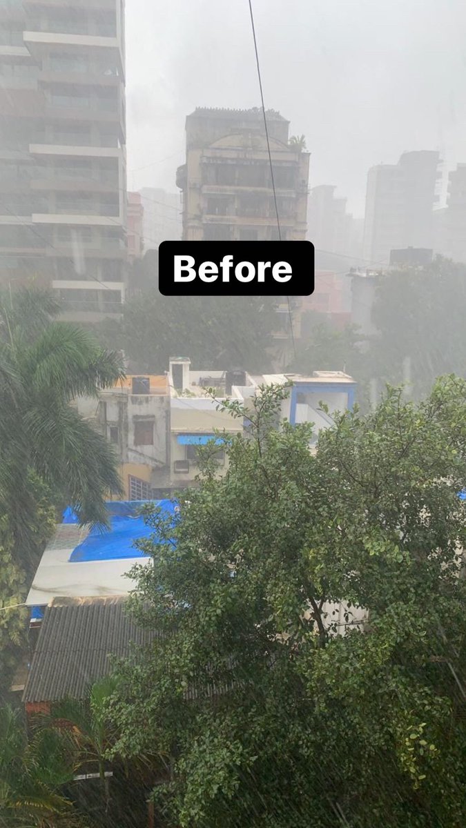kashmiratalati's tweet photo. Mass cut down of trees in Belfer, waterfield rd, Bandra W. This was supposed to be trimming of trees. Which eventually become brutally chopping them down! I had more faith in u! @mybmc @AUThackeray @CMOMaharashtra @ShelarAshish @SaherABhamla @DollyBindra @UghadeSharad @VVVispute https://t.co/wxUH78DiGp