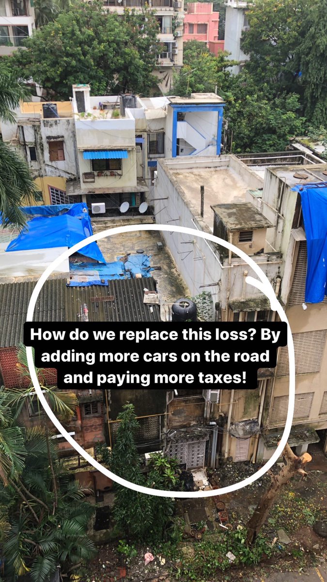 kashmiratalati's tweet photo. Mass cut down of trees in Belfer, waterfield rd, Bandra W. This was supposed to be trimming of trees. Which eventually become brutally chopping them down! I had more faith in u! @mybmc @AUThackeray @CMOMaharashtra @ShelarAshish @SaherABhamla @DollyBindra @UghadeSharad @VVVispute https://t.co/wxUH78DiGp