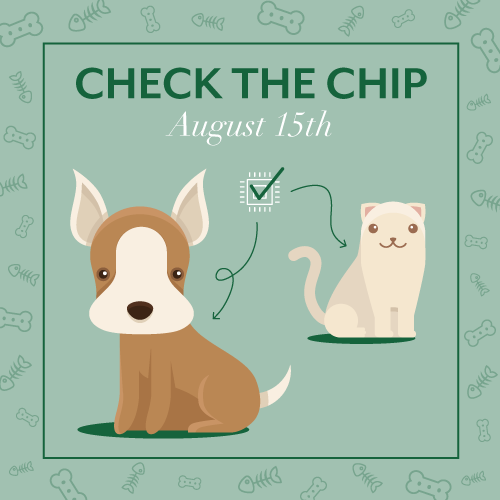 PawsVet's tweet image. Is your pet's microchip info up to date? Not only is it very important to have your pet microchipped but it is equally important to have the registration up to date so that they can find their way back to you. Make sure to #checkyourchip today! 

youtu.be/n0kySDFlxlQ
